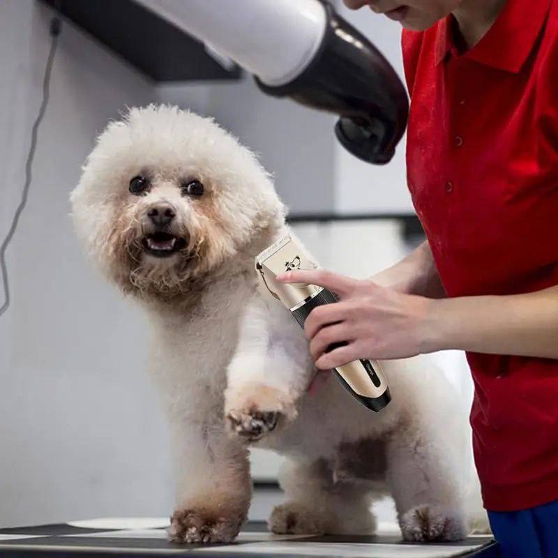 MÁQUINA CORTADORA DE PELO PARA MASCOTAS – KIT PROFESIONAL DE ASEO